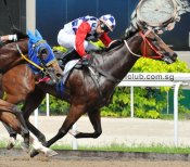 Empress Wu will reunite with apprentice jockey Tengku Rehaizat on Sunday.<br>Photo by Singapore Turf Club